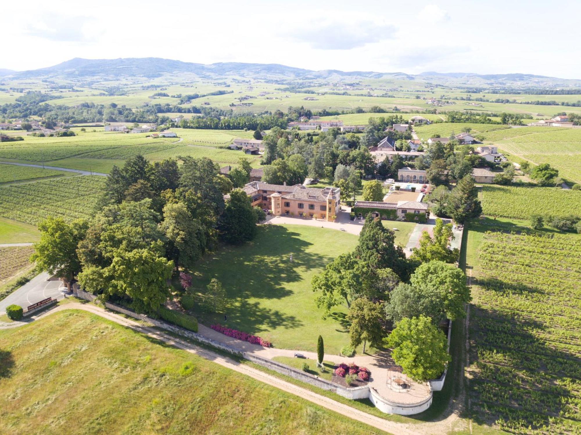 Chateau De Briante Saint-Lager Exteriör bild