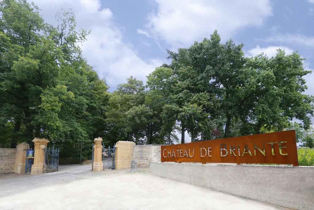 Chateau De Briante Saint-Lager Exteriör bild