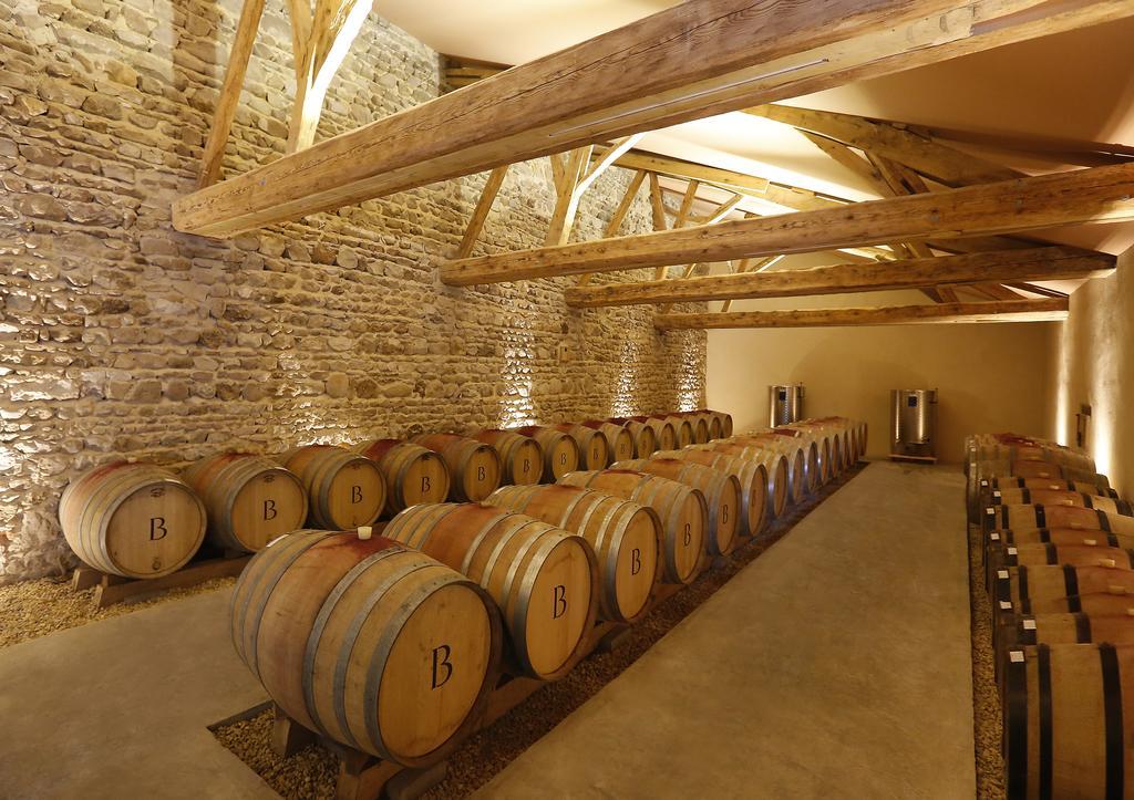 Chateau De Briante Saint-Lager Exteriör bild